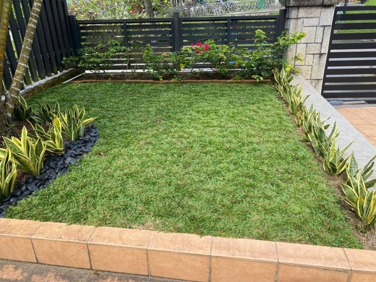 image-Natural Grass Planting-IMG_6977